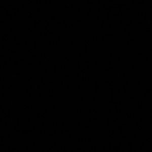 Meet your Posher, Nadia